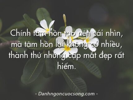 Chính tâm hồn tạo nên cái nhìn, mà tâm hồn lại không có nhiều, thành thử những cặp mắt đẹp rất hiếm.