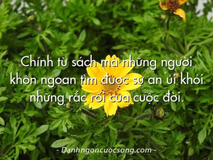 Chính từ sách mà những người khôn ngoan tìm được sự an ủi khỏi những rắc rối của cuộc đời.