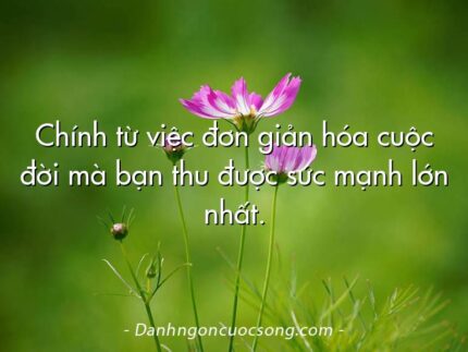 Chính từ việc đơn giản hóa cuộc đời mà bạn thu được sức mạnh lớn nhất.