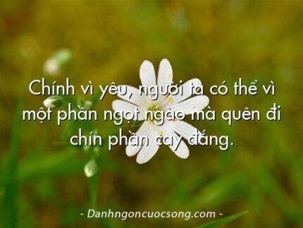 Chính vì yêu, người ta có thể vì một phần ngọt ngào mà quên đi chín phần cay đắng.