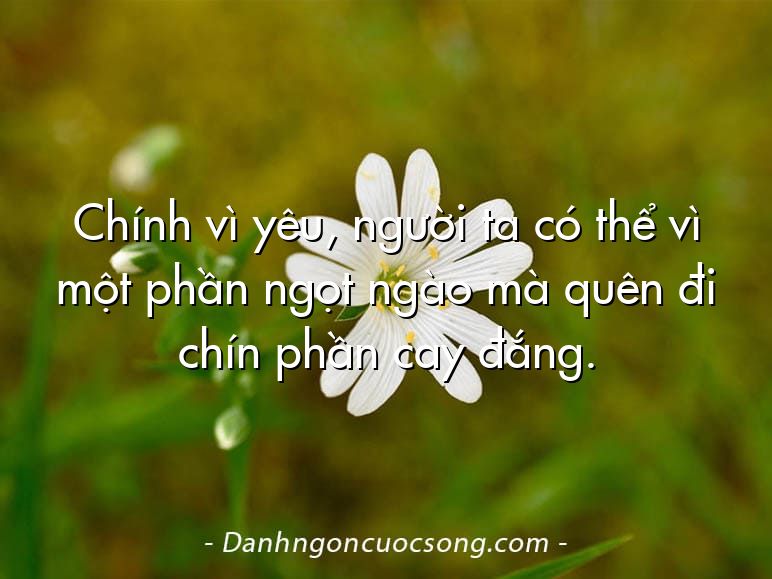 Chính vì yêu, người ta có thể vì một phần ngọt ngào mà quên đi chín phần cay đắng.