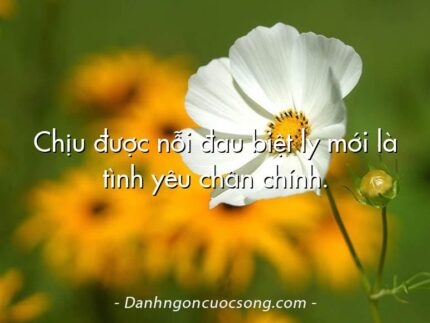 Chịu được nỗi đau biệt ly mới là tình yêu chân chính.  