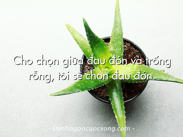 Cho chọn giữa đau đớn và trống rỗng, tôi sẽ chọn đau đớn.