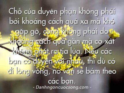 Chỗ của duyên phận không phải bởi khoảng cách quá xa mà khó gặp gỡ, cũng không phải do khoảng cách quá gần mà cọ xát không phát ra tia lửa. Nếu các bạn có duyên với nhau, thì dù có đi lòng vòng, nó vẫn sẽ bám theo các bạn.