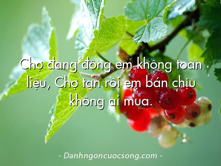 Chợ đang đông em không toan liệu, Chợ tan rồi em bán chịu không ai mua.