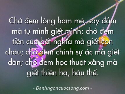 Chớ đem lòng ham mê, say đắm mà tự mình giết mình; chớ đem tiền của bất nghĩa mà giết con cháu; chớ đem chính sự ác mà giết dân; chớ đem học thuật xằng mà giết thiên hạ, hậu thế.