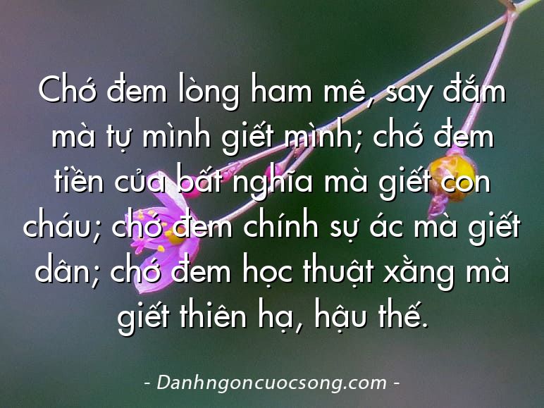 Chớ đem lòng ham mê, say đắm mà tự mình giết mình; chớ đem tiền của bất nghĩa mà giết con cháu; chớ đem chính sự ác mà giết dân; chớ đem học thuật xằng mà giết thiên hạ, hậu thế.