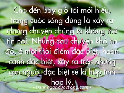 Cho đến bây giờ tôi mới hiểu, trong cuộc sống đúng là xảy ra những chuyện chúng ta không thể tin nổi. Những câu chuyện khó tin đó, ở một thời điểm đặc biệt, hoàn cảnh đặc biệt, xảy ra trên những con người đặc biệt sẽ là hợp tình hợp lý.