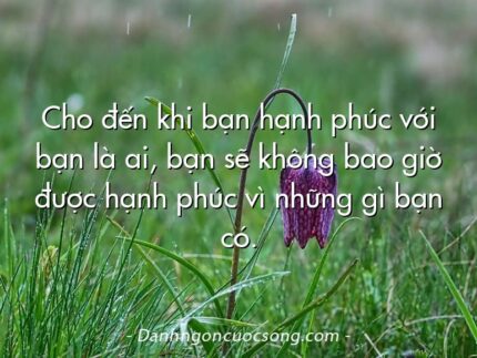 Cho đến khi bạn hạnh phúc với bạn là ai, bạn sẽ không bao giờ được hạnh phúc vì những gì bạn có.