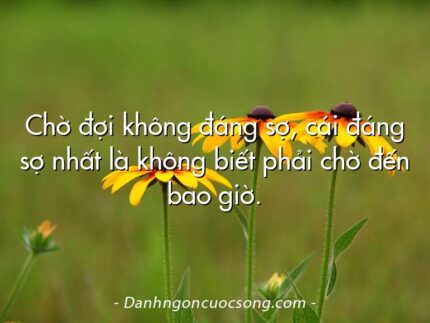 Chờ đợi không đáng sợ, cái đáng sợ nhất là không biết phải chờ đến bao giờ.