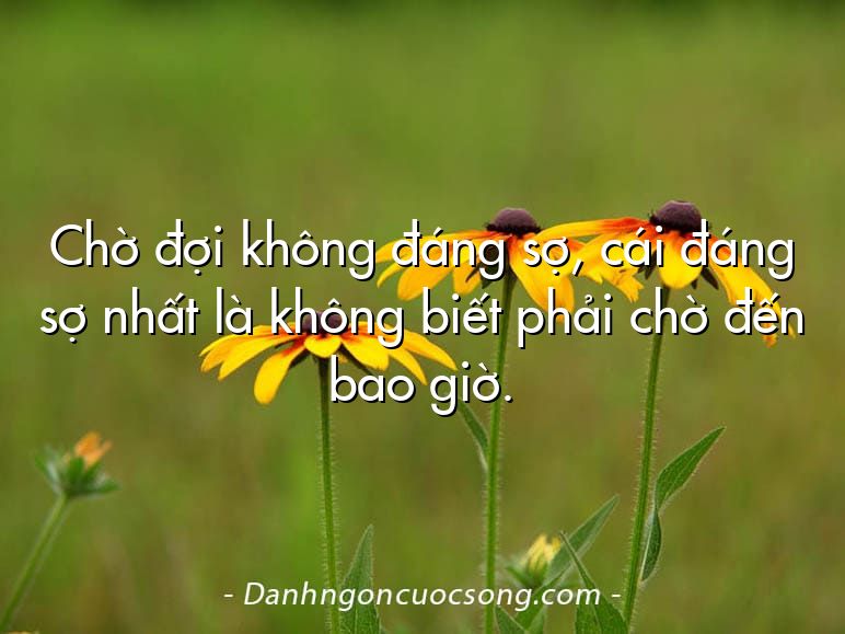 Chờ đợi không đáng sợ, cái đáng sợ nhất là không biết phải chờ đến bao giờ.