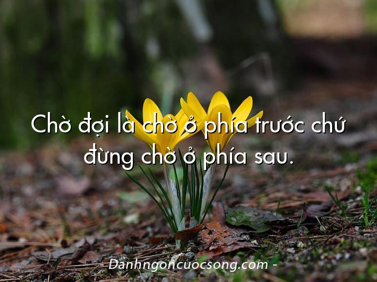 Chờ đợi là chờ ở phía trước chứ đừng chờ ở phía sau.
