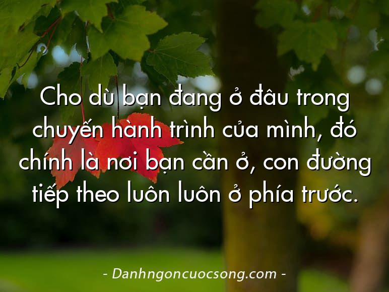 Cho dù bạn đang ở đâu trong chuyến hành trình của mình, đó chính là nơi bạn cần ở, con đường tiếp theo luôn luôn ở phía trước.