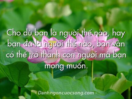Cho dù bạn là người thế nào, hay bạn đã là người thế nào, bạn vẫn có thể trở thành con người mà bạn mong muốn.