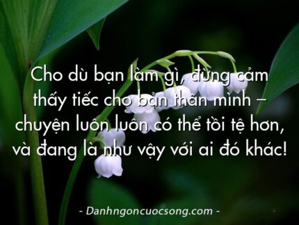 Cho dù bạn làm gì, đừng cảm thấy tiếc cho bản thân mình – chuyện luôn luôn có thể tồi tệ hơn, và đang là như vậy với ai đó khác!
