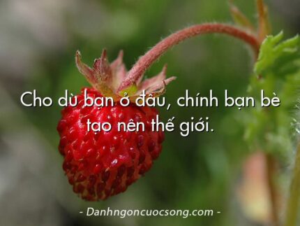 Cho dù bạn ở đâu, chính bạn bè tạo nên thế giới.