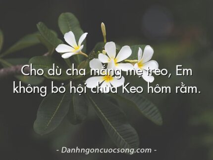 Cho dù cha mắng mẹ treo, Em không bỏ hội chùa Keo hôm rằm.