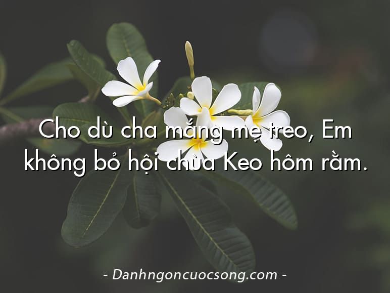 Cho dù cha mắng mẹ treo, Em không bỏ hội chùa Keo hôm rằm.