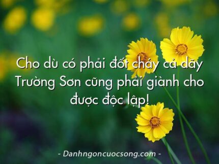 Cho dù có phải đốt cháy cả dãy Trường Sơn cũng phải giành cho được độc lập!