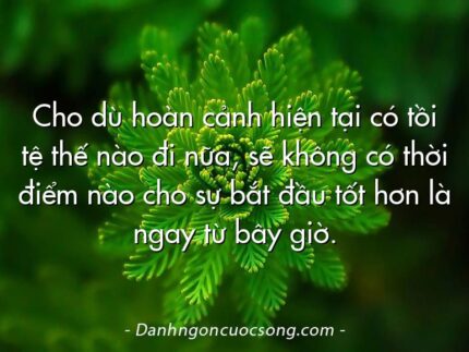 Cho dù hoàn cảnh hiện tại có tồi tệ thế nào đi nữa, sẽ không có thời điểm nào cho sự bắt đầu tốt hơn là ngay từ bây giờ.