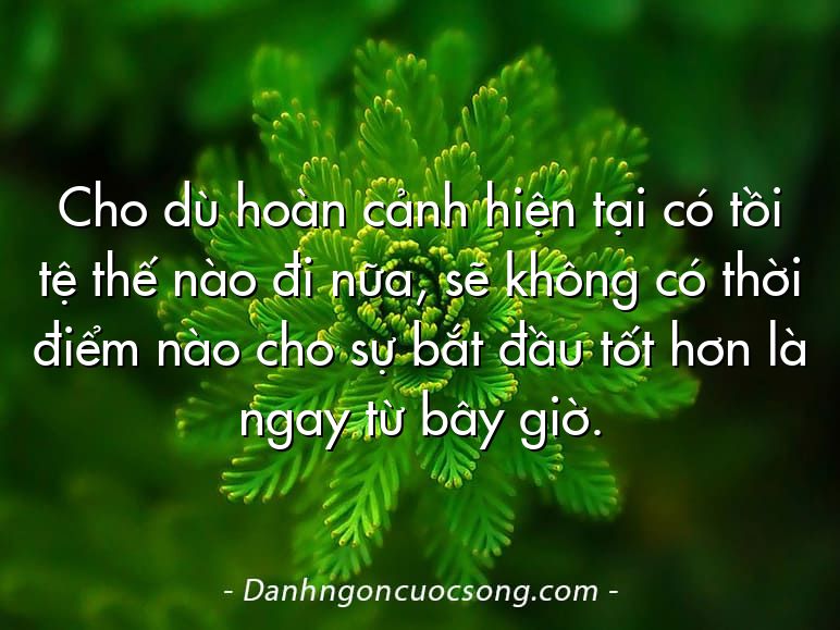 Cho dù hoàn cảnh hiện tại có tồi tệ thế nào đi nữa, sẽ không có thời điểm nào cho sự bắt đầu tốt hơn là ngay từ bây giờ.