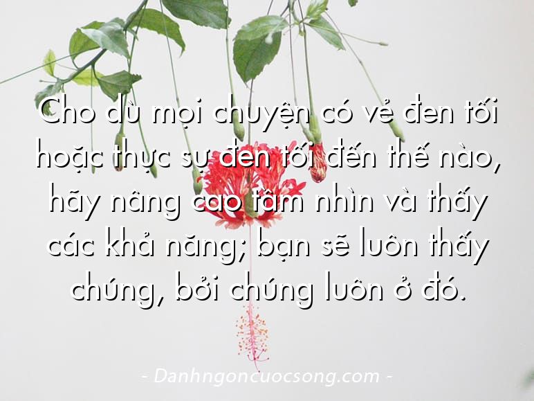 Cho dù mọi chuyện có vẻ đen tối hoặc thực sự đen tối đến thế nào, hãy nâng cao tầm nhìn và thấy các khả năng; bạn sẽ luôn thấy chúng, bởi chúng luôn ở đó.