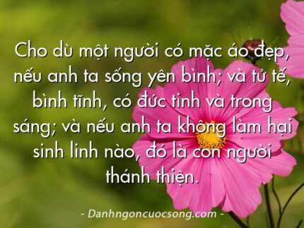 Cho dù một người có mặc áo đẹp, nếu anh ta sống yên bình; và tử tế, bình tĩnh, có đức tinh và trong sáng; và nếu anh ta không làm hại sinh linh nào, đó là con người thánh thiện.