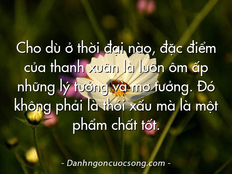 Cho dù ở thời đại nào, đặc điểm của thanh xuân là luôn ôm ấp những lý tưởng và mơ tưởng. Đó không phải là thói xấu mà là một phẩm chất tốt.