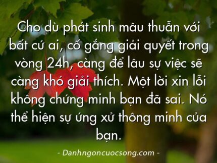 Cho dù phát sinh mâu thuẫn với bất cứ ai, cố gắng giải quyết trong vòng 24h, càng để lâu sự việc sẽ càng khó giải thích. Một lời xin lỗi không chứng minh bạn đã sai. Nó thể hiện sự ứng xử thông minh của bạn.