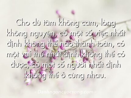 Cho dù tâm không cam, lòng không nguyện, có một số việc nhất định không thể nào thành toàn, có một vài thứ nhất định không thể có được, có một số người nhất định không thể ở cùng nhau.