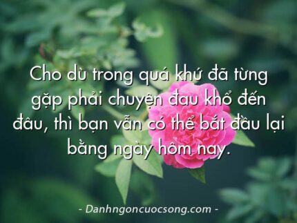 Cho dù trong quá khứ đã từng gặp phải chuyện đau khổ đến đâu, thì bạn vẫn có thể bắt đầu lại bằng ngày hôm nay.