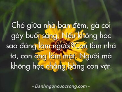 Chó giữa nhà ban đêm, gà coi gáy buổi sáng. Nếu không học sao đáng làm người?Con tằm nhả tơ, con ong làm mật. Người mà không học chẳng bằng con vật.