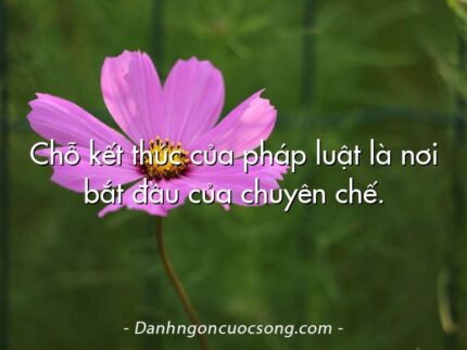 Chỗ kết thúc của pháp luật là nơi bắt đầu của chuyên chế.