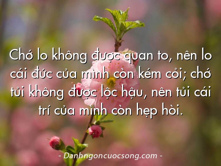 Chớ lo không được quan to, nên lo cái đức của mình còn kém cỏi; chớ tủi không được lộc hậu, nên tủi cái trí của mình còn hẹp hòi.