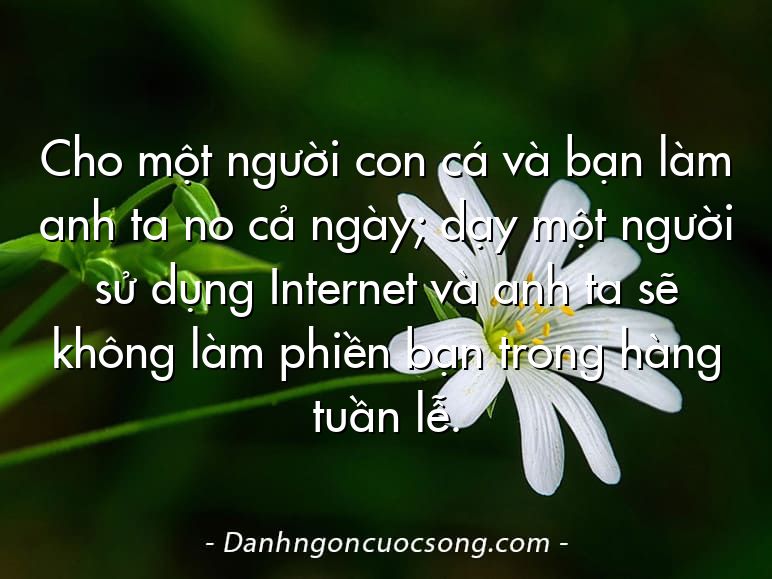 Cho một người con cá và bạn làm anh ta no cả ngày; dạy một người sử dụng Internet và anh ta sẽ không làm phiền bạn trong hàng tuần lễ.