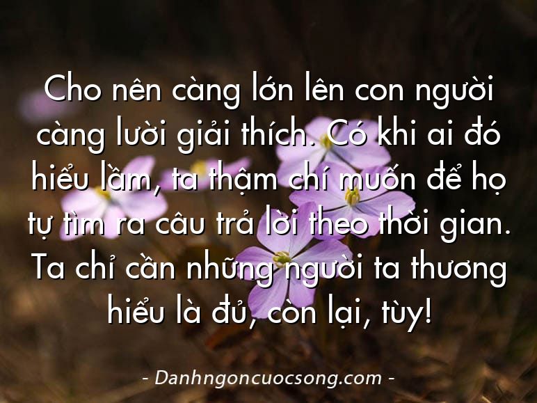 Cho nên càng lớn lên con người càng lười giải thích. Có khi ai đó hiểu lầm, ta thậm chí muốn để họ tự tìm ra câu trả lời theo thời gian. Ta chỉ cần những người ta thương hiểu là đủ, còn lại, tùy!