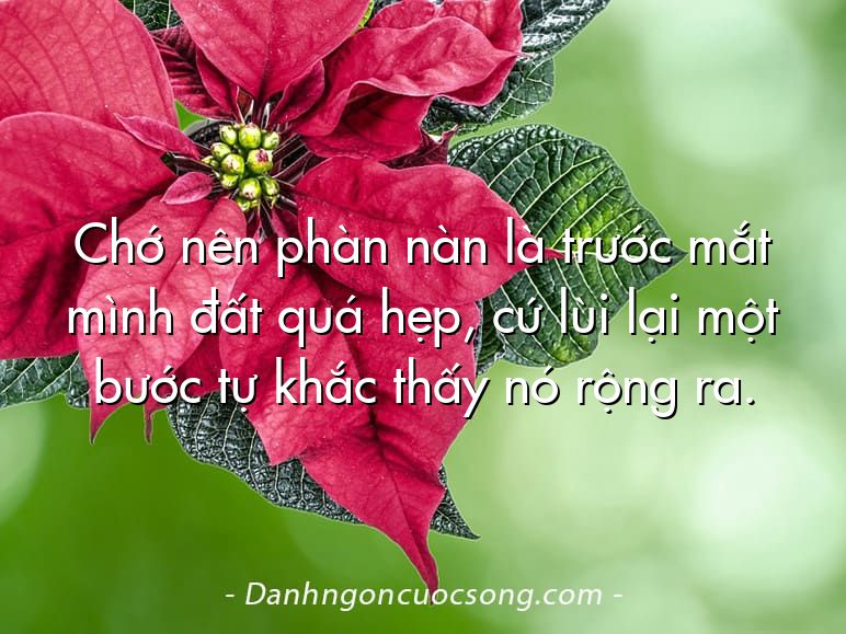 Chớ nên phàn nàn là trước mắt mình đất quá hẹp, cứ lùi lại một bước tự khắc thấy nó rộng ra.