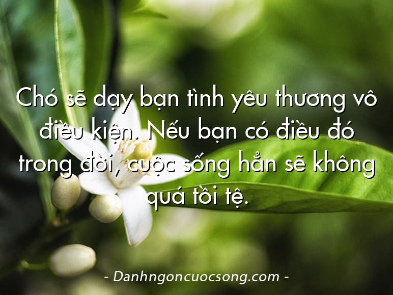 Chó sẽ dạy bạn tình yêu thương vô điều kiện. Nếu bạn có điều đó trong đời, cuộc sống hẳn sẽ không quá tồi tệ.