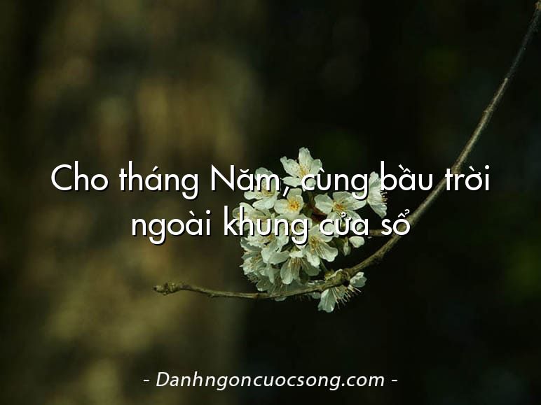 Cho tháng Năm, cùng bầu trời ngoài khung cửa sổ