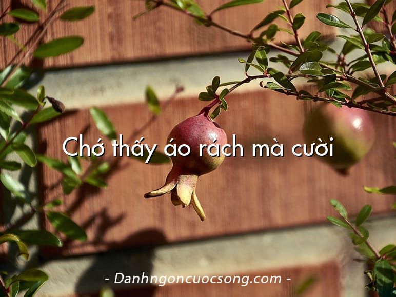 Chớ thấy áo rách mà cười