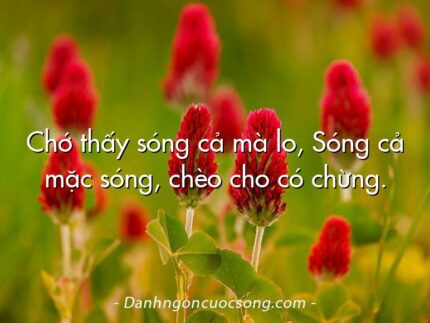 Chớ thấy sóng cả mà lo, Sóng cả mặc sóng, chèo cho có chừng.