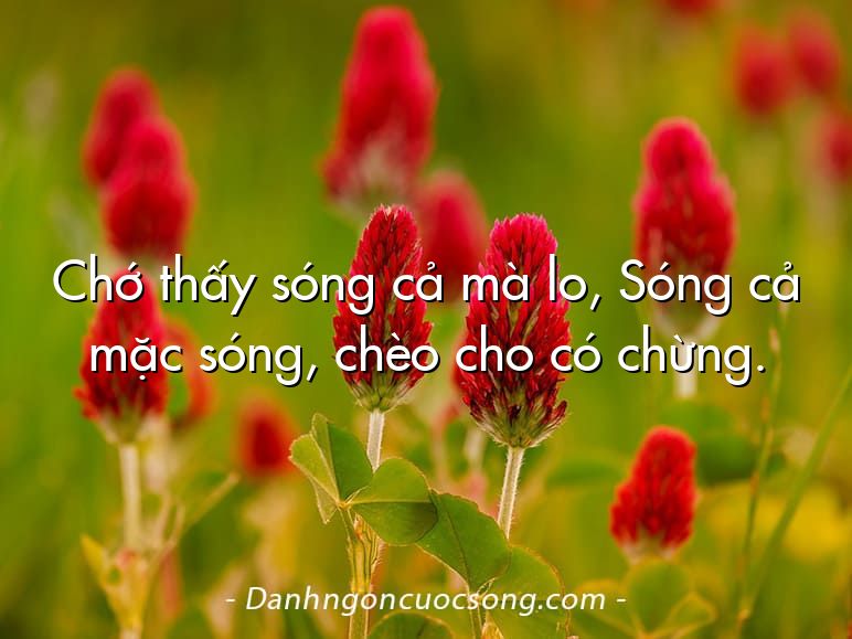 Chớ thấy sóng cả mà lo, Sóng cả mặc sóng, chèo cho có chừng.