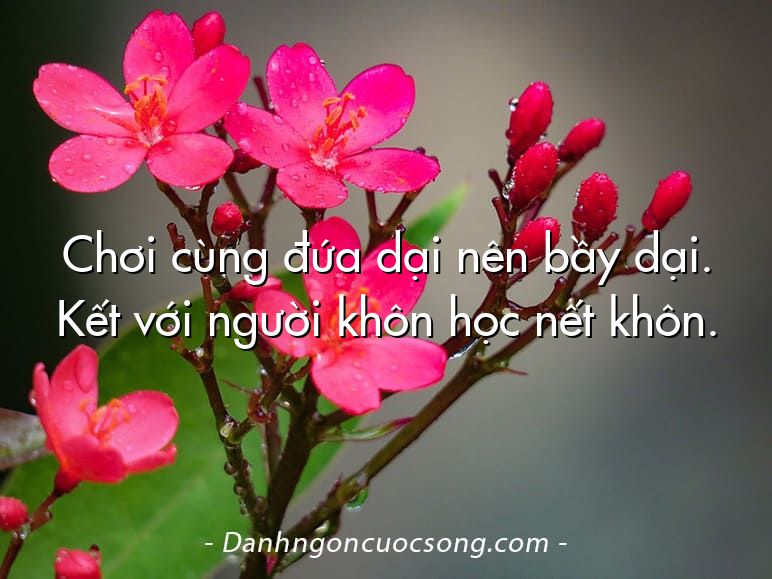 Chơi cùng đứa dại nên bầy dại. Kết với người khôn học nết khôn.