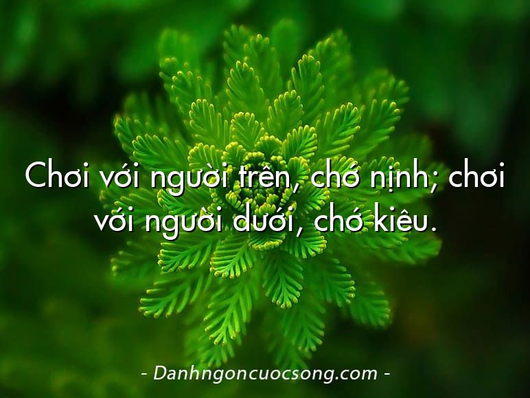 Chơi với người trên, chớ nịnh; chơi với người dưới, chớ kiêu.
