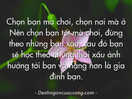 Chọn bạn mà chơi, chọn nơi mà ở Nên chọn bạn tốt mà chơi, đừng theo những bạn xấu, sau đó bạn sẽ học theo những thói xấu ảnh hưởng tới bạn và nặng hơn là gia đình bạn.