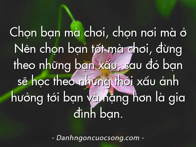 Chọn bạn mà chơi, chọn nơi mà ở Nên chọn bạn tốt mà chơi, đừng theo những bạn xấu, sau đó bạn sẽ học theo những thói xấu ảnh hưởng tới bạn và nặng hơn là gia đình bạn.