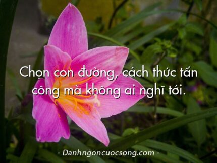 Chọn con đường, cách thức tấn công mà không ai nghĩ tới.