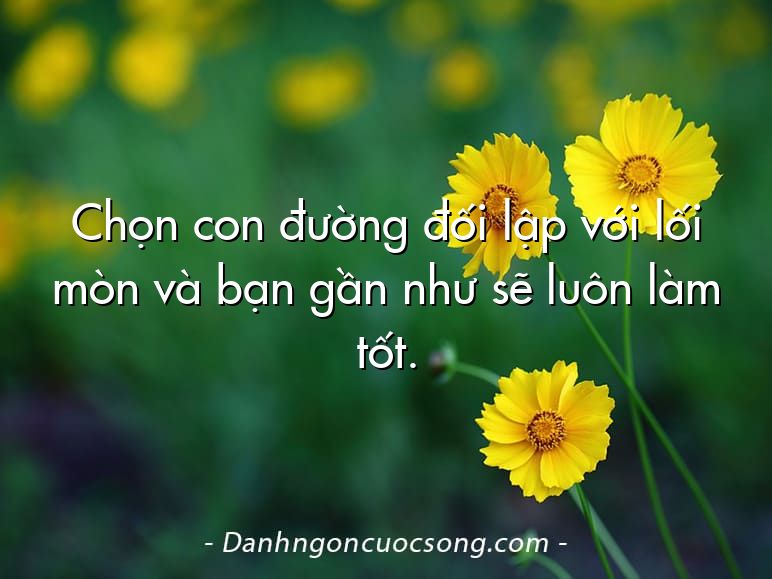 Chọn con đường đối lập với lối mòn và bạn gần như sẽ luôn làm tốt.
