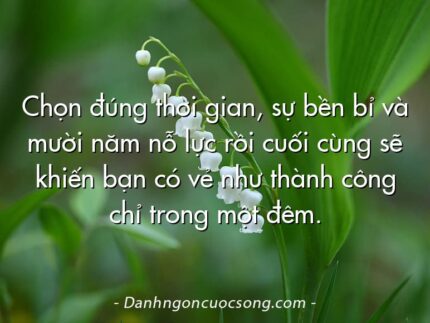 Chọn đúng thời gian, sự bền bỉ và mười năm nỗ lực rồi cuối cùng sẽ khiến bạn có vẻ như thành công chỉ trong một đêm.