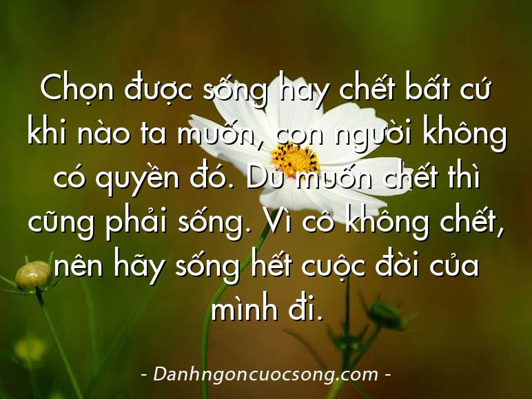 Chọn được sống hay chết bất cứ khi nào ta muốn, con người không có quyền đó. Dù muốn chết thì cũng phải sống. Vì cô không chết, nên hãy sống hết cuộc đời của mình đi.